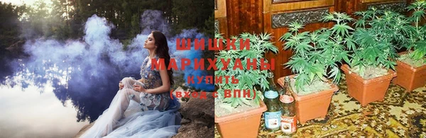 apvp Аркадак
