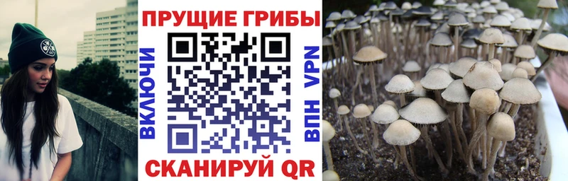 наркота  Еманжелинск  Псилоцибиновые грибы MAGIC MUSHROOMS 